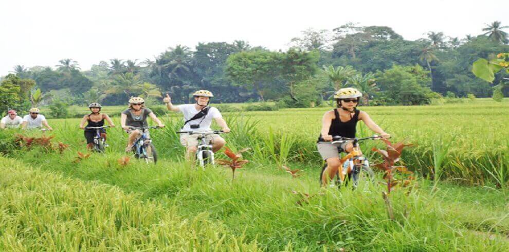 bali cycling, cycling bali, bali atv, atv bali, ubud cycling, cycling ubud, ubud atv, atv ubud